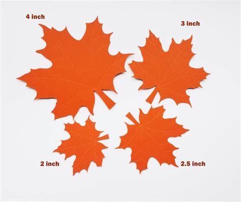 50 Maple Leaves Paper Cut Outs Embossed Cardstock Leaves Die Etsy India
