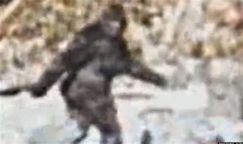 Bigfoot Bounty Spike Tv Offers 10 Million For Irrefutable Proof Of