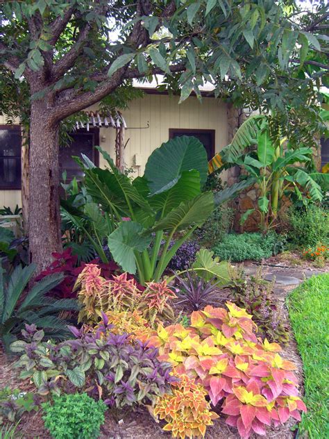 Small garden design with neatly planted flowers and a pathway. Landscaping photo of "Tropical Garden" posted by searlsbegy