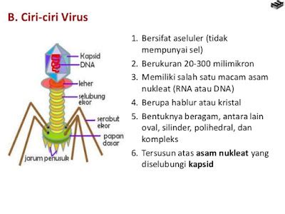 Rangkuman Biologi Kelas X Virus Sejarah Virus Ciri Ciri Virus