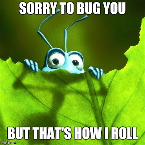 Dont Be A Bug Imgflip