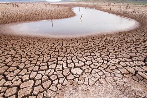 Desertification And Drought Day Guyana Chronicle