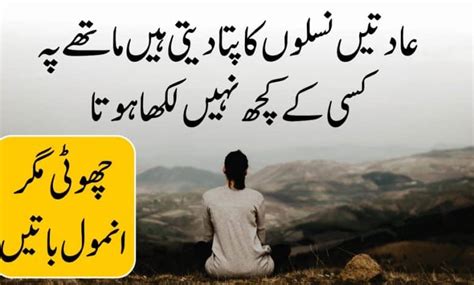 Choti Magar Anmol Batein New Life Quotes In Urdu Hindi Motivational