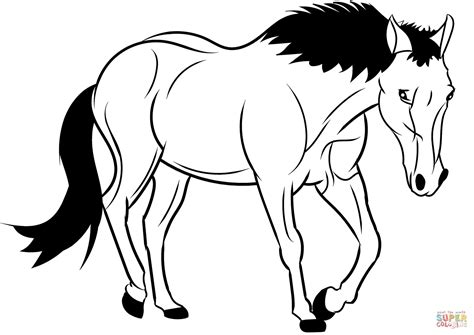 Horse Coloring Page Free Printable Coloring Pages