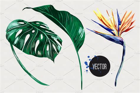 Tropical flower,leaves illustration ~ Illustrations ~ Creative Market