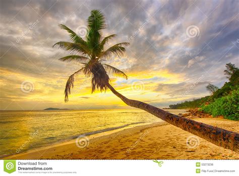 Barbados Stock Photo Image Of Exotic Island Dusk Seychelles 53273236