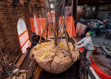 pau revives brooklyn s historic domino refinery as biophilic office