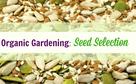 Organic Living Journey Organic Gardening Seed Selection Southern Savers