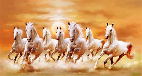 58 Horses Pics For Backgrounds Wallpapersafari