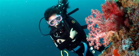 Explore The Incredible Diving Offered At Corons Premier Dive Center