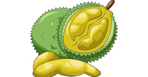 Are you searching for durian png images or vector? Unduh 900 Gambar Animasi Buah Durian HD Free Downloads ...