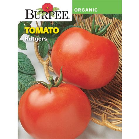 Burpee Organic Rutgers Tomato Vegetable Seed 1 Pack