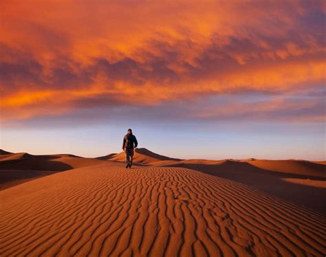 15 Best Things To Do In White Sands National Park New Mexico