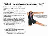 Photos of Cardiovascular Fitness Exercises