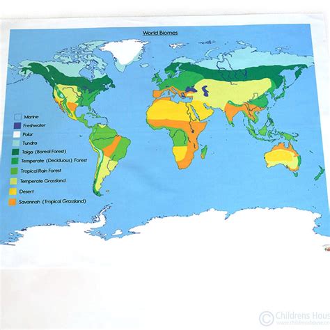 Informace Udělal To Částečně World Map With Biomes Labeled Souložit