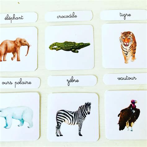 Nomenclature Cartes Montessori Les Animaux Du Monde