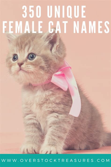 350 Unique Kitten Name Girl Kitten Names Girl Cat Names Girl Unique