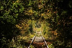 Reise in den Herbst Foto & Bild | world, licht, natur Bilder auf ...