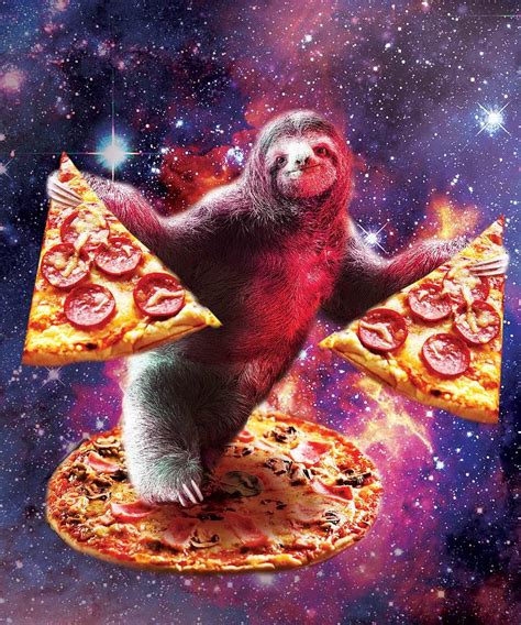 Sloth In Space