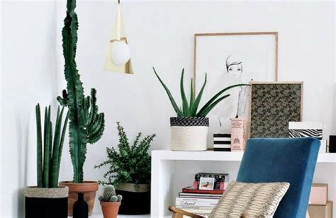 10 Cheerful Living Room Ideas With Plants Covet Edition