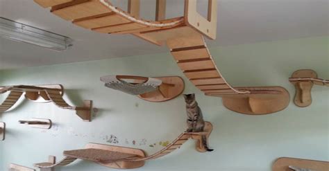 Ceiling Cat Twistedsifter