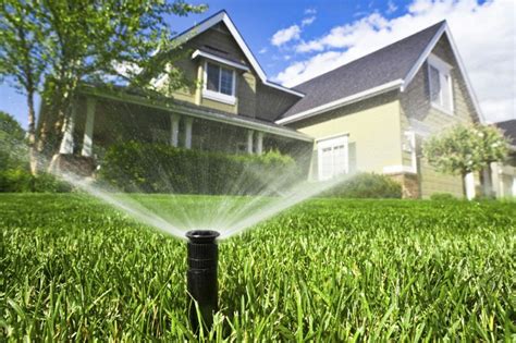 Lawn Watering Tips Lawn Doctor