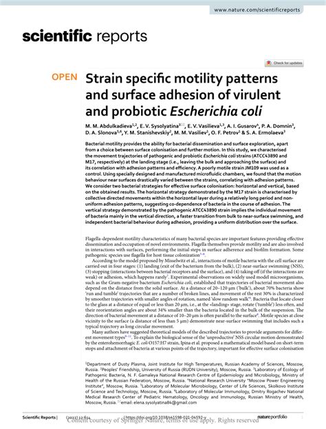 Pdf Strain Specific Motility Patterns And Surface Adhesion Of Virulent And Probiotic