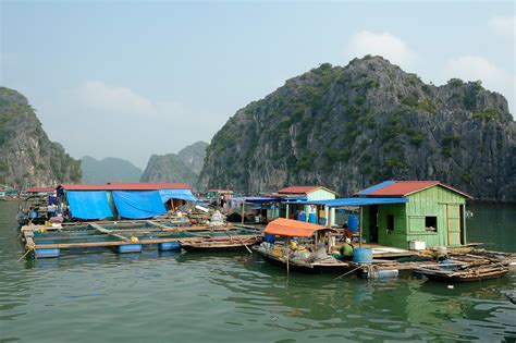 Fishing Village Wikipedia