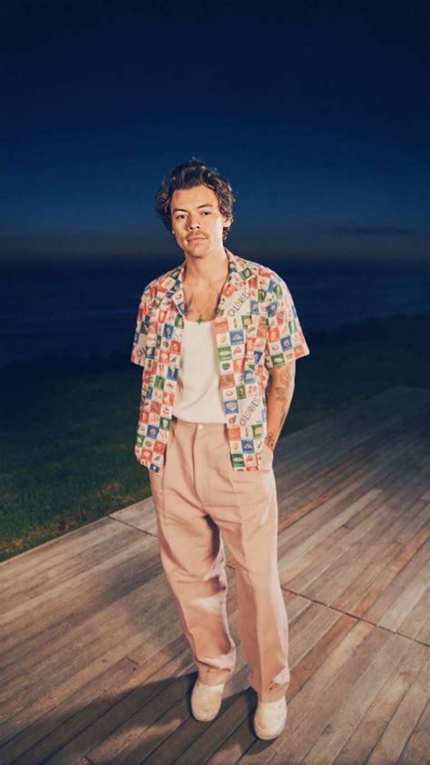 Pin By 𝔞𝔩𝔦𝔠𝔦𝔞 On Harry Styles ️ Harry Styles Clothes Harry Styles