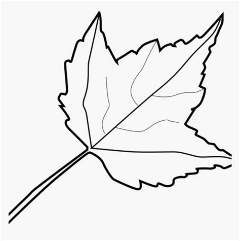 Leaf Outline Images Maple Leaf Outline Clip Art At Leaf Clipart Black