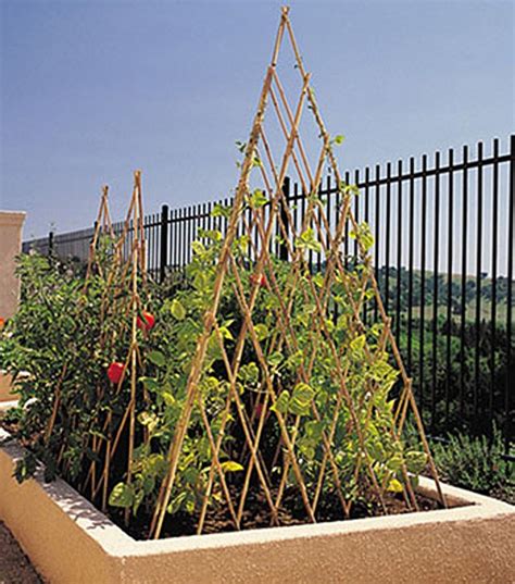 Ryset Aust Bamboo Teepee Trellis 18m Gds480 Wire Metal And Bamboo
