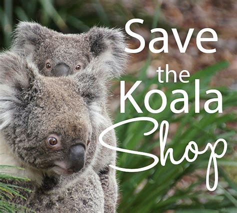 Visit The Save The Koala Shop This Christmas Australian Koala Foundation