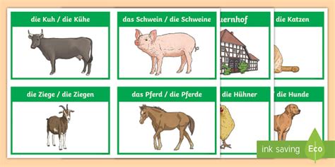 Farm Animals Flashcards German Teacher Made Twinkl