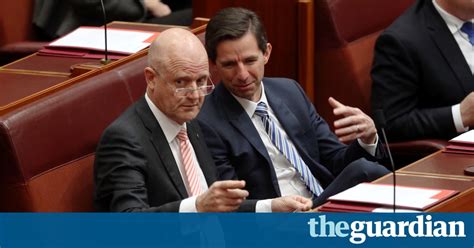 David Leyonhjelm Defends Ministers Over Potential Contempt Charge