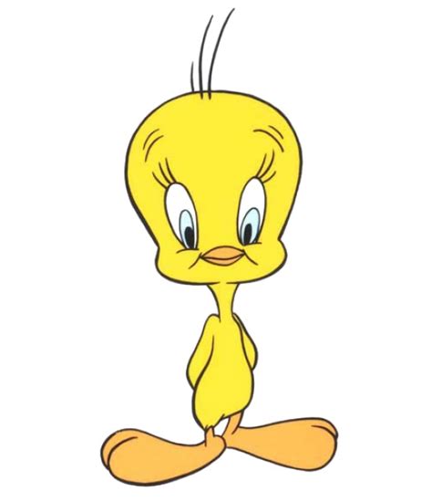 Tweety Png Transparent Images Pictures Photos Png Arts
