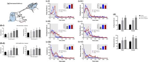 Intranasal Administration Of A Stapled Relaxin‐3 Mimetic Has Anxiolytic