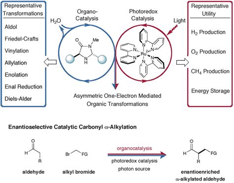 Merging Photoredox Catalysis With Organocatalysis The Direct