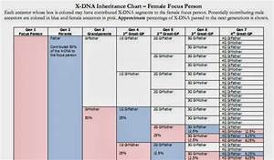 Deb 39 S Delvings In Genealogy X Dna Inheritance Charts