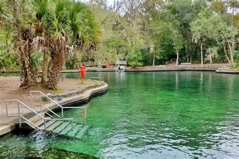 Wekiwa Springs State Park Swimming Near Orlando Central Florida