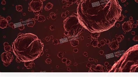 Abstract Red Virus Cells Under Microscope Stock Animation 11509326