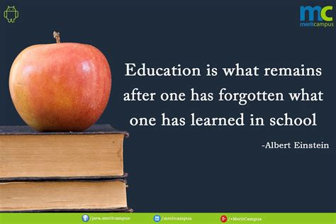 Education | Education, Albert einstein education, Education quotes for ...