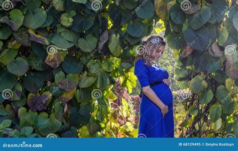 ritratto una giovane donna incinta bionda adorabile immagine stock immagine di feto verde