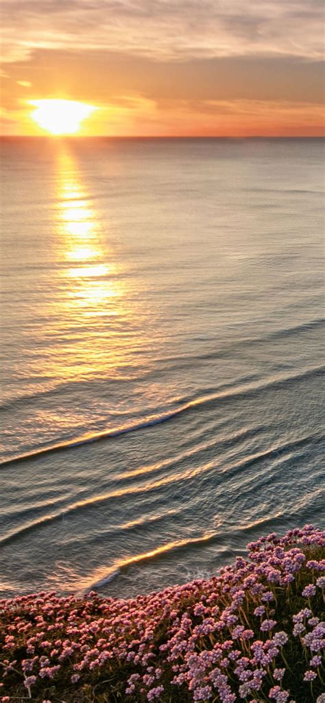 Beautiful Beach Horizon Iphone 12 Wallpapers Free Download