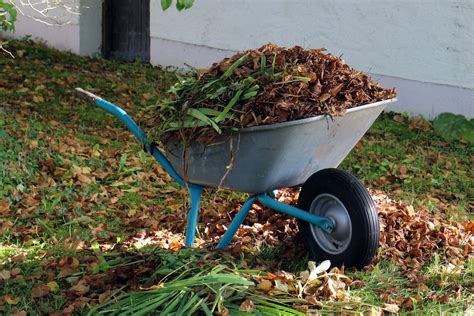 Proper Disposal Of Wastes From Garden Express Waste Removal