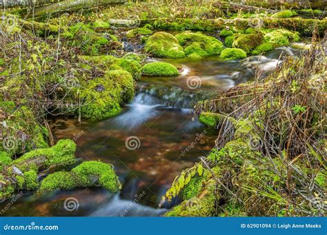 Mossy Rock Stream Stock Photo Image Of Long Autumn 62901094
