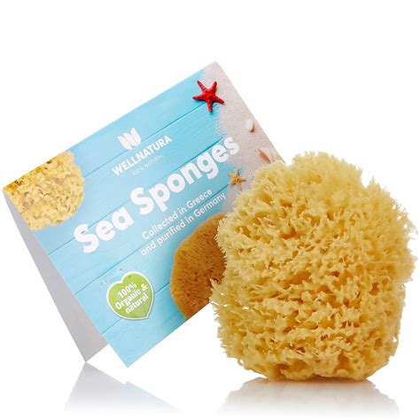 Sea Sponge For Bathing 100 Natural 4” Large Soft Sensitive