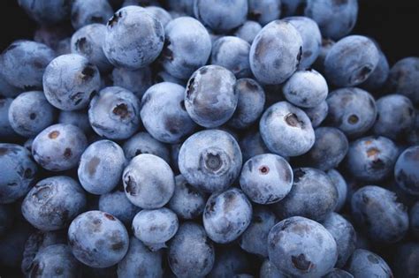 Eating Blueberries Every Day Improves Heart Health Study Indiablooms