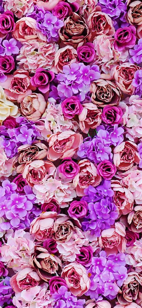 Pink And Purple Petaled Flower Flower Rose Flower Iphone Wallpaper