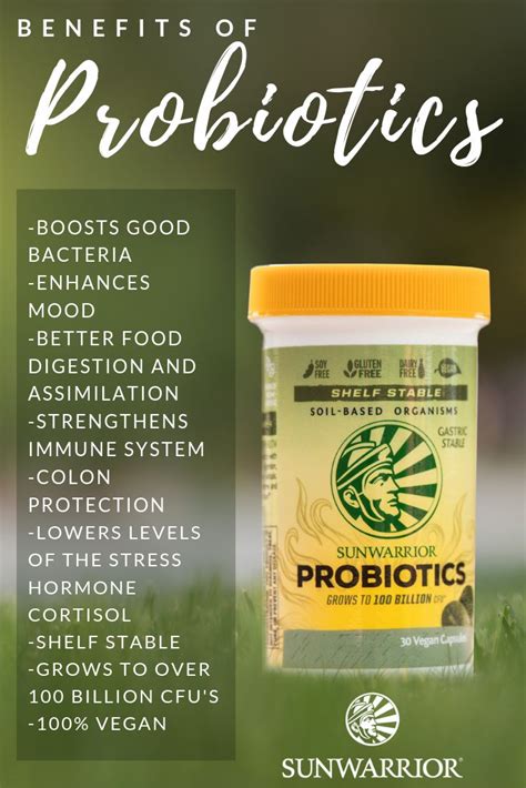 What Are Probiotics How They Work And Their Benefits What Are