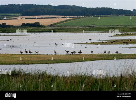Cley Marshes Nature Reserve
